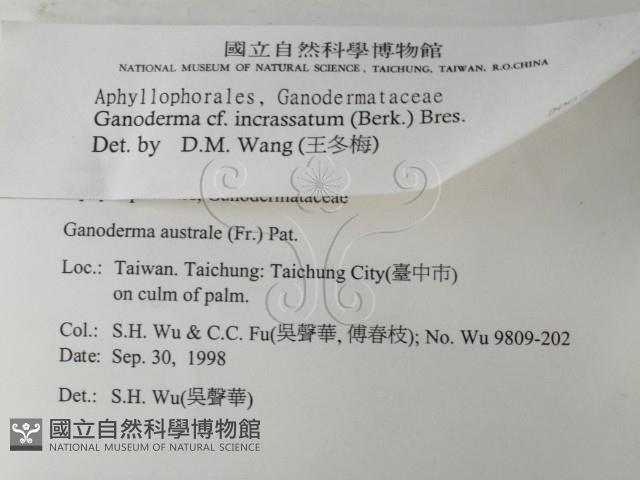 登錄號:F0009322藏品圖，第2張