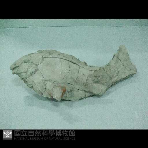 剪粘(魚)藏品圖，第2張