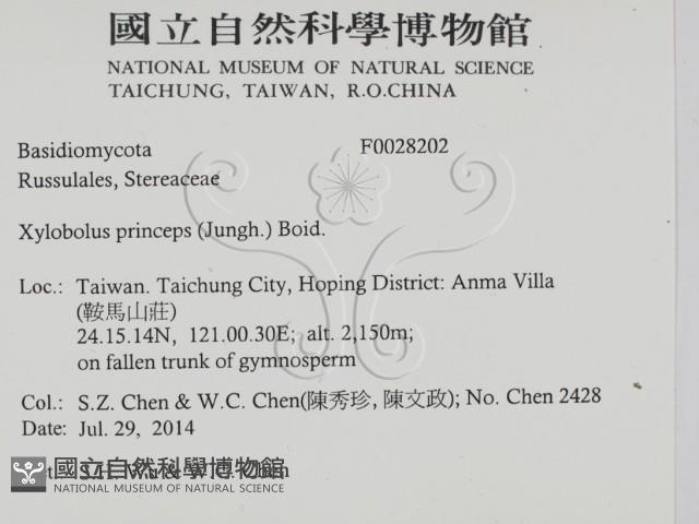 登錄號:F0028202藏品圖，第2張