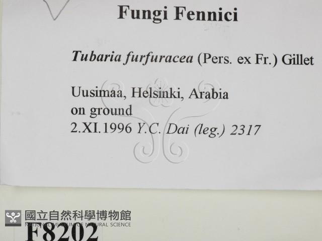 登錄號:F0008202藏品圖，第2張