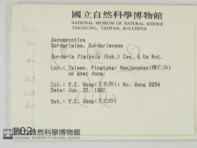 登錄號:F0000202藏品圖，第2張