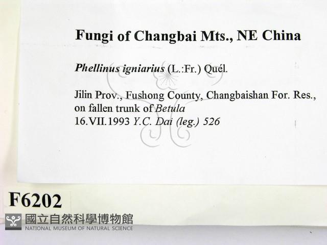 登錄號:F0006202藏品圖，第2張