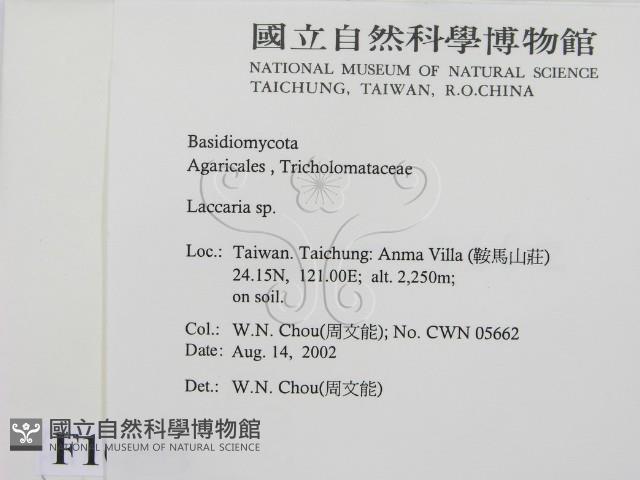 登錄號:F0016202藏品圖，第2張