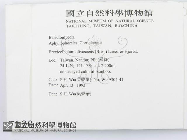 登錄號:F0001202藏品圖，第2張