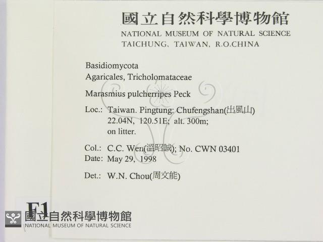 登錄號:F0011202藏品圖，第2張