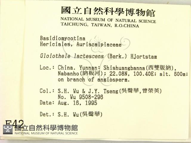 登錄號:F0004202藏品圖，第2張