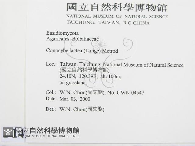 登錄號:F0014202藏品圖，第2張