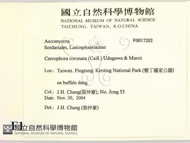 登錄號:F0017202藏品圖，第2張