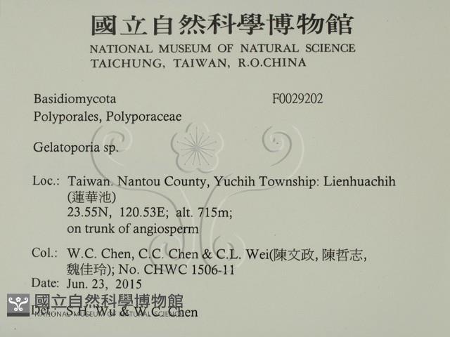 登錄號:F0029202藏品圖，第2張