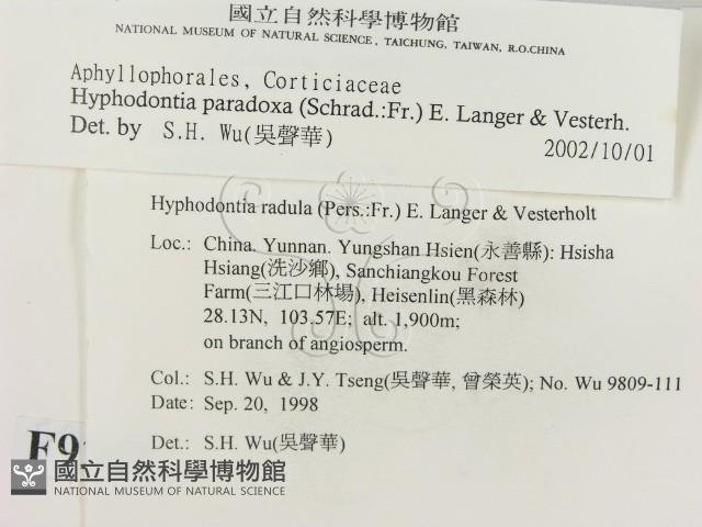 登錄號:F0009202藏品圖，第2張