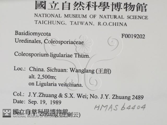 登錄號:F0019202藏品圖，第2張