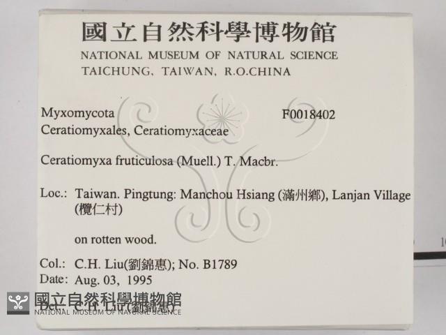 登錄號:F0018402藏品圖，第2張