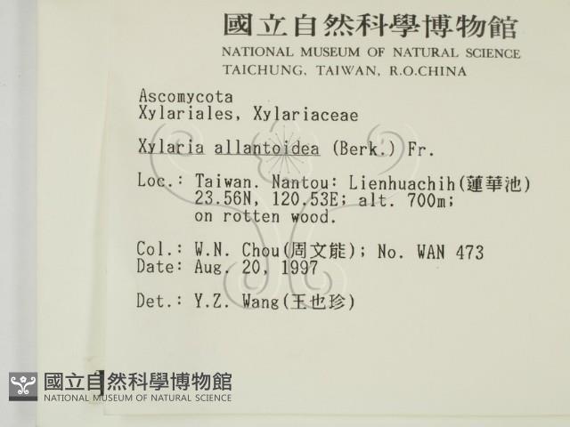 登錄號:F0007402藏品圖，第2張