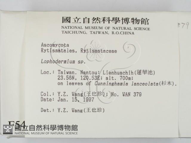 登錄號:F0005402藏品圖，第2張