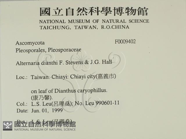 登錄號:F0009402藏品圖，第2張