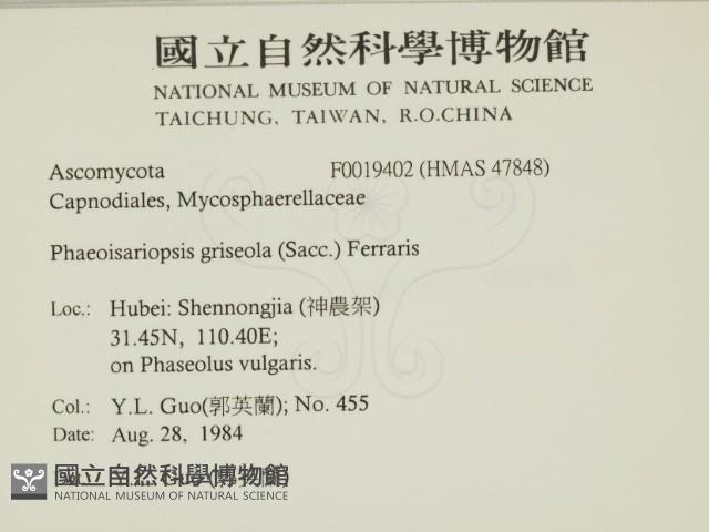 登錄號:F0019402藏品圖，第2張