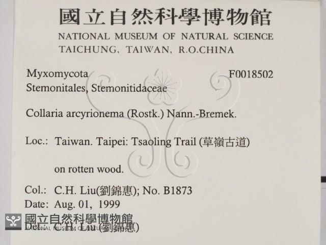 登錄號:F0018502藏品圖，第2張