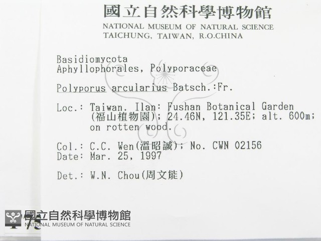 登錄號:F0007502藏品圖，第2張