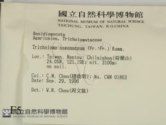 登錄號:F0005502藏品圖，第2張