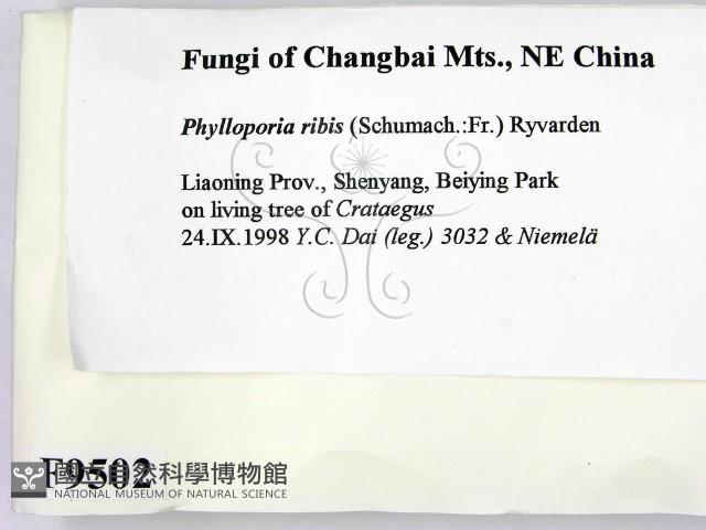 登錄號:F0009502藏品圖，第2張