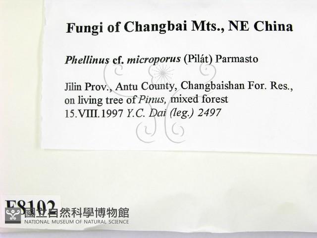 登錄號:F0008102藏品圖，第2張