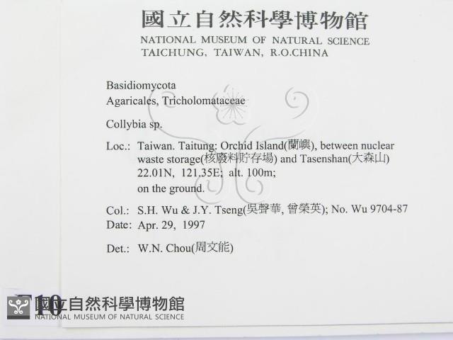 登錄號:F0010102藏品圖，第2張