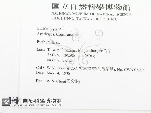 登錄號:F0011102藏品圖，第2張