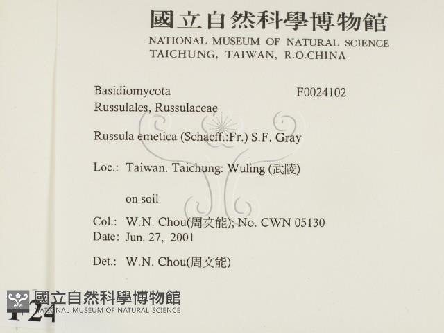 登錄號:F0024102藏品圖，第2張