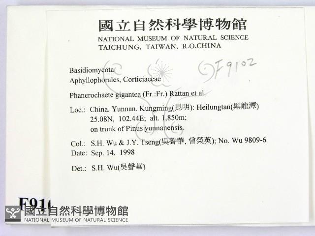 登錄號:F0009102藏品圖，第2張