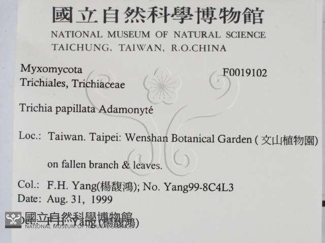 登錄號:F0019102藏品圖，第2張