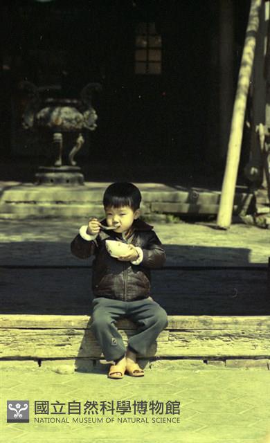 1950至2006年臺灣常民生活藏品圖，第1張