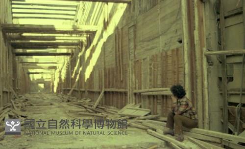 1950至2006年臺灣常民生活藏品圖，第1張