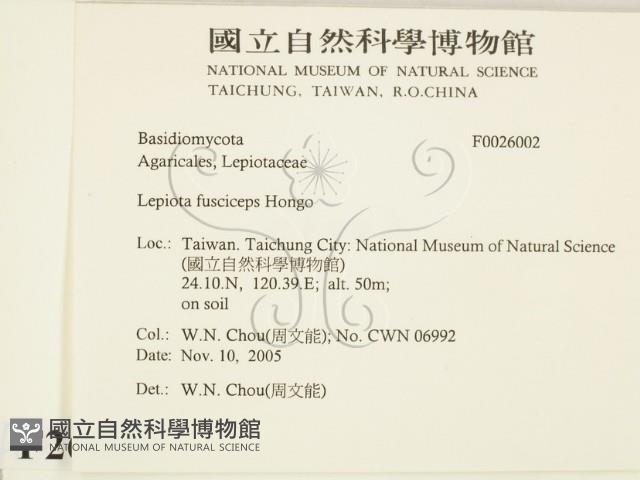 登錄號:F0026002藏品圖，第2張