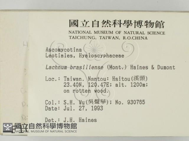 登錄號:F0001002藏品圖，第2張