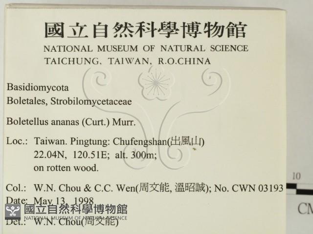 登錄號:F0011002藏品圖，第2張