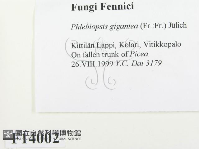 登錄號:F0014002藏品圖，第2張