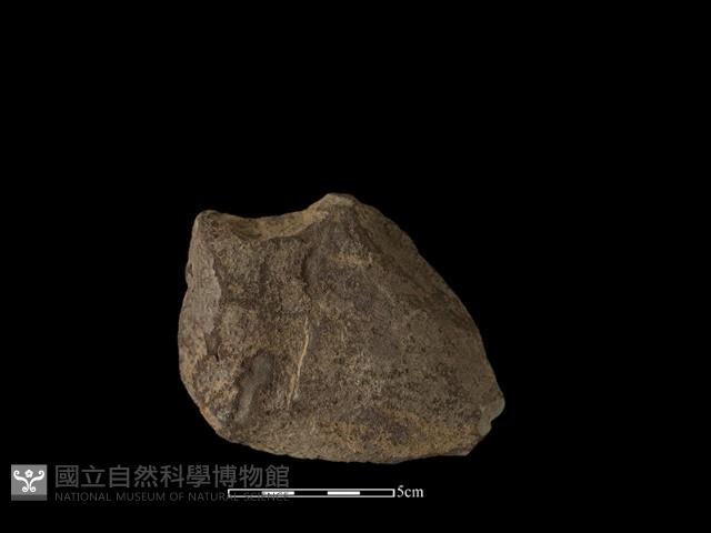 石片器藏品圖，第2張