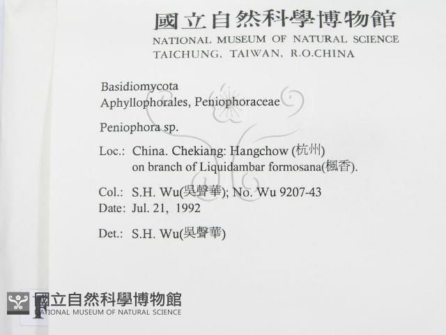 筍殼菌屬藏品圖，第2張