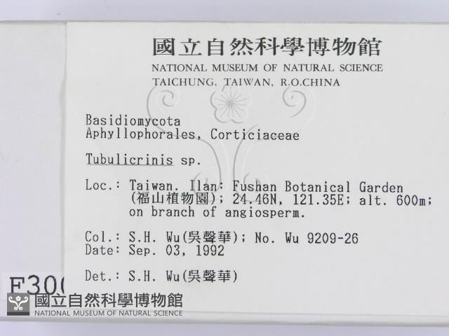 登錄號:F0003002藏品圖，第2張