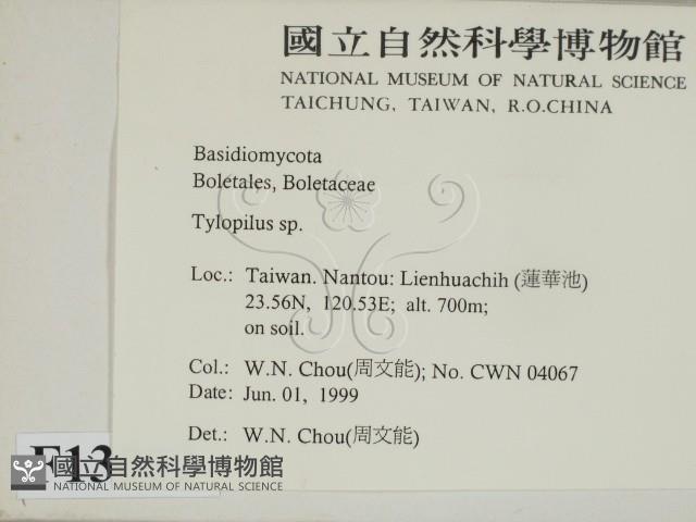 登錄號:F0013002藏品圖，第2張