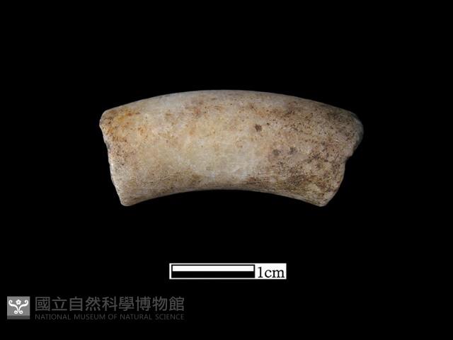 手鐲藏品圖，第2張