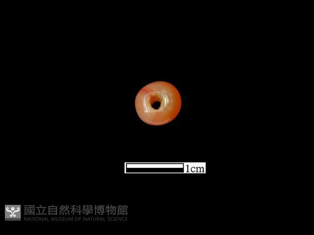 瑪瑙珠藏品圖，第2張