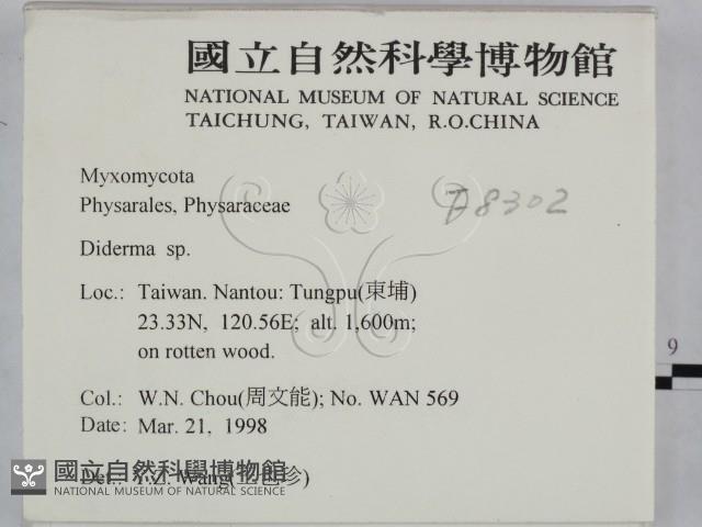 登錄號:F0008302藏品圖，第2張