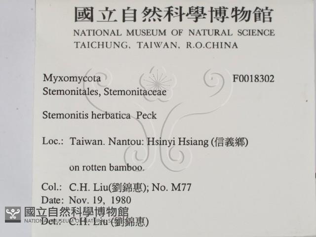 登錄號:F0018302藏品圖，第2張