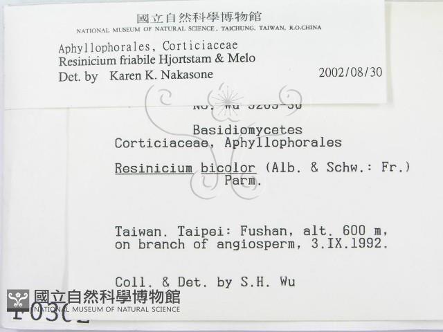 登錄號:F0000302藏品圖，第2張