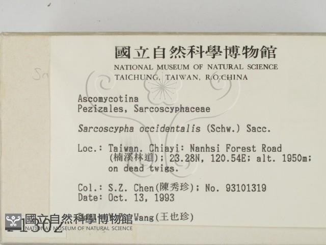 登錄號:F0001302藏品圖，第2張