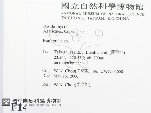 登錄號:F0014302藏品圖，第2張