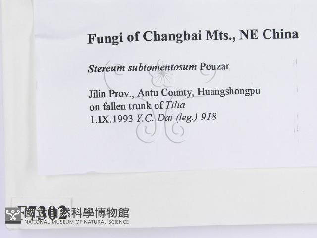 登錄號:F0007302藏品圖，第2張