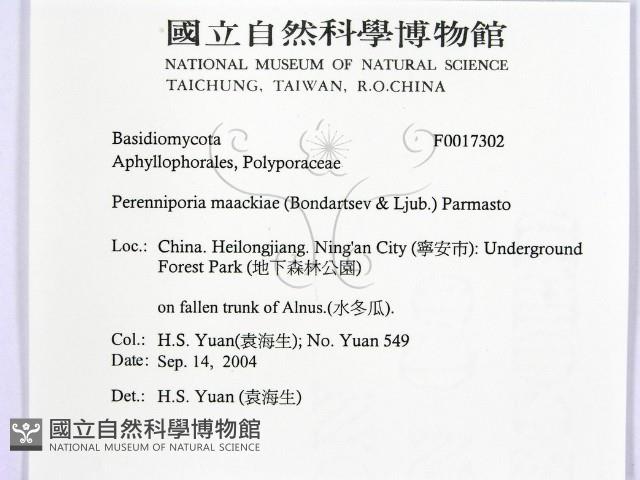 登錄號:F0017302藏品圖，第2張