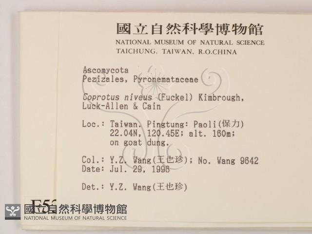 登錄號:F0005302藏品圖，第2張